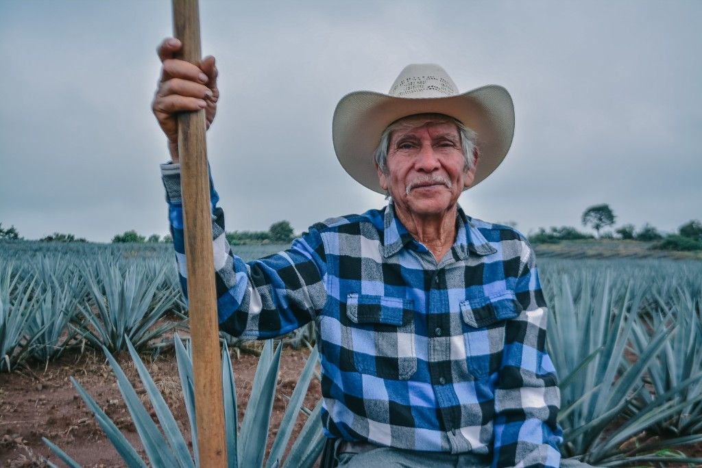 Don Lorenzo Gaytán en un campo de agave azul en Jalisco