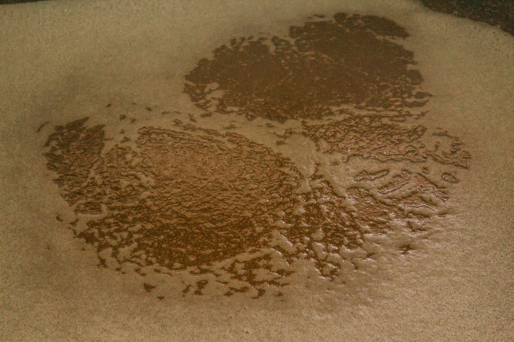 Mosto de agave en fermentación silvestre en Destilería Nueva Santa Fe, San Juanito de Escobedo